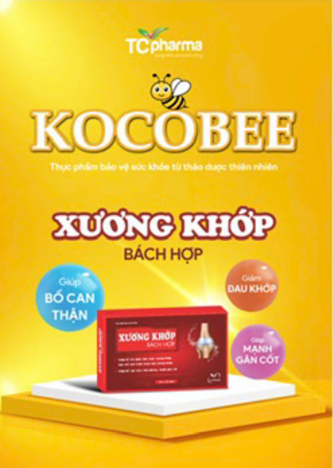 XƯƠNG KHỚP BÁCH HỢP